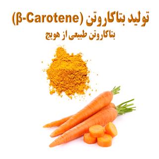 طرح توجیهی طرح تولید بتارکاتن 