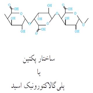 طرح توجیهی  تولید آنزیم پکتین استراز